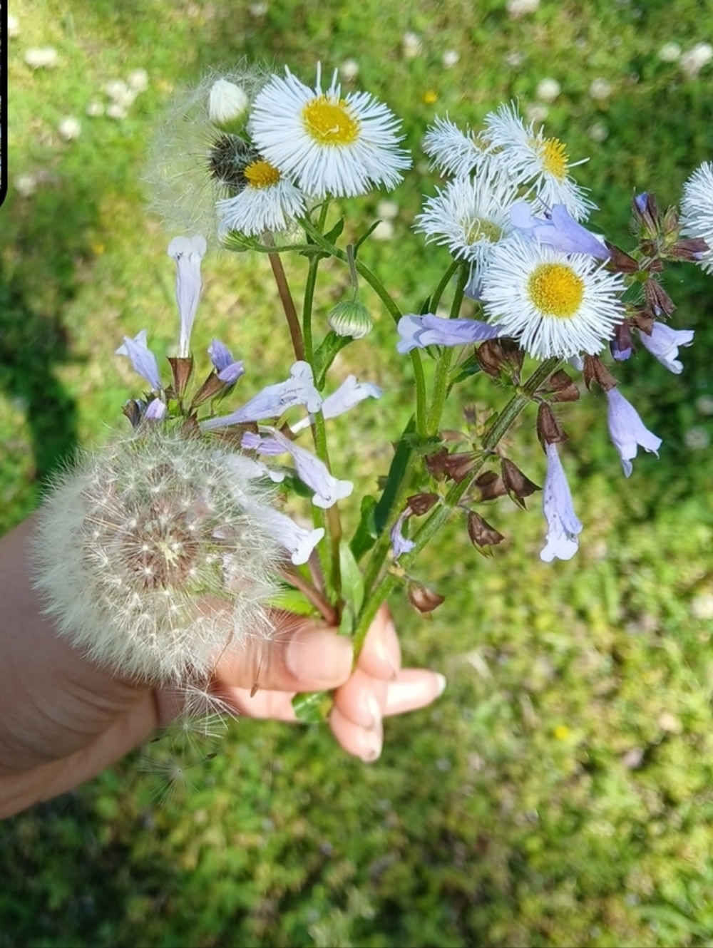 Hello!!🌸